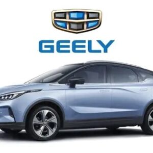 GEELY pure EV 305km come with  7kw DC charger one year warranty
