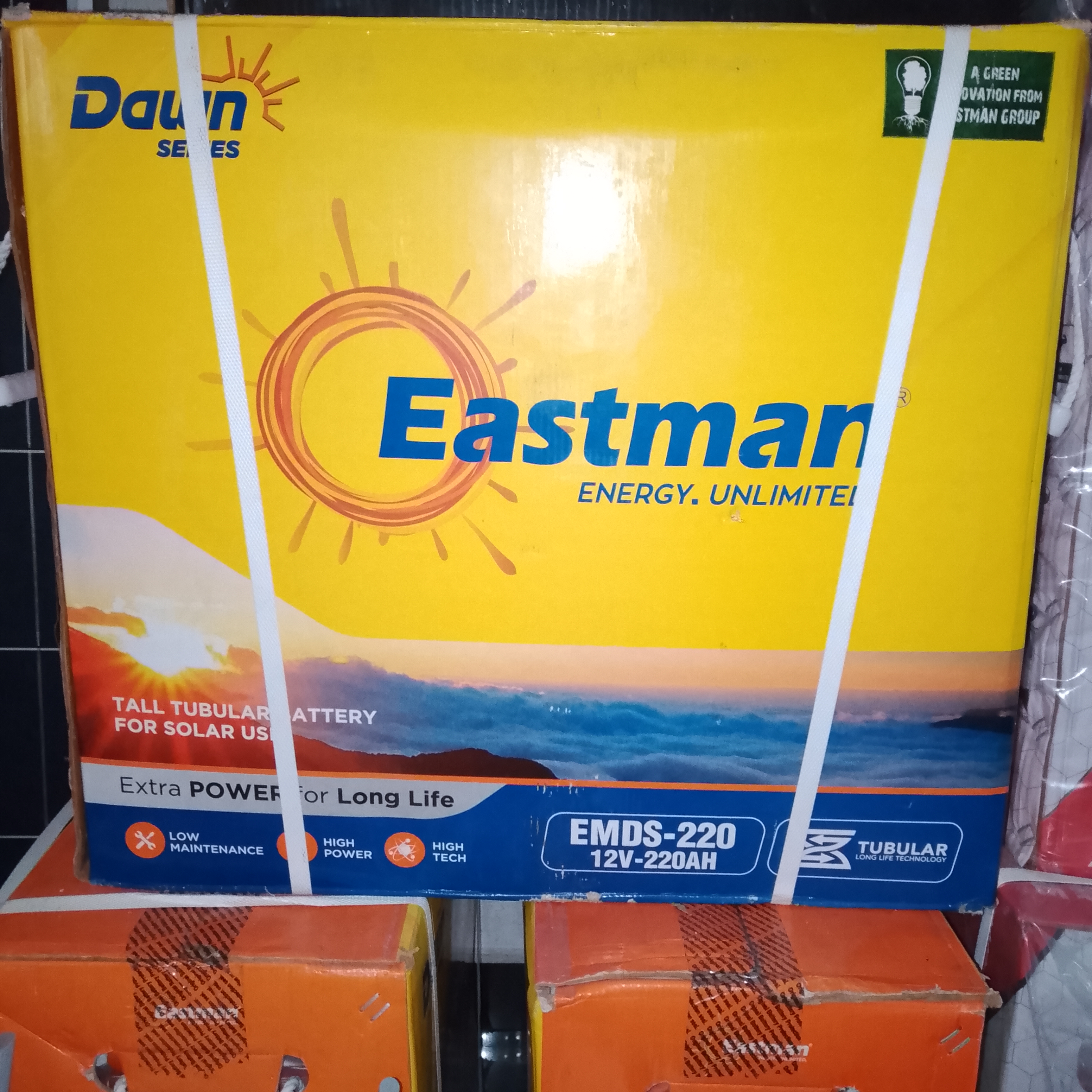 EASTMAN 220AH/12V TALL TUBULAR BATTERY