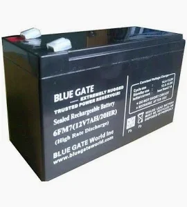 BLUEGATE 7AMPS BATTERY