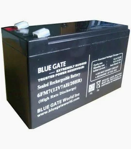 BLUEGATE 7AMPS BATTERY