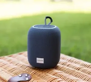 CANYON BLUETOOTH SPEAKER BSP-8 GREY