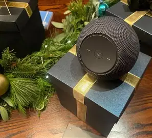 AMAZON ECHO DOT MAX BROWN