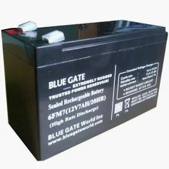 BLUEGATE 12V 7AH BATTERY