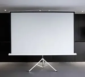 PROJECTOR SCREEN IN CTN