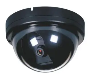 CCD DOME CAMERA (NG-683S)