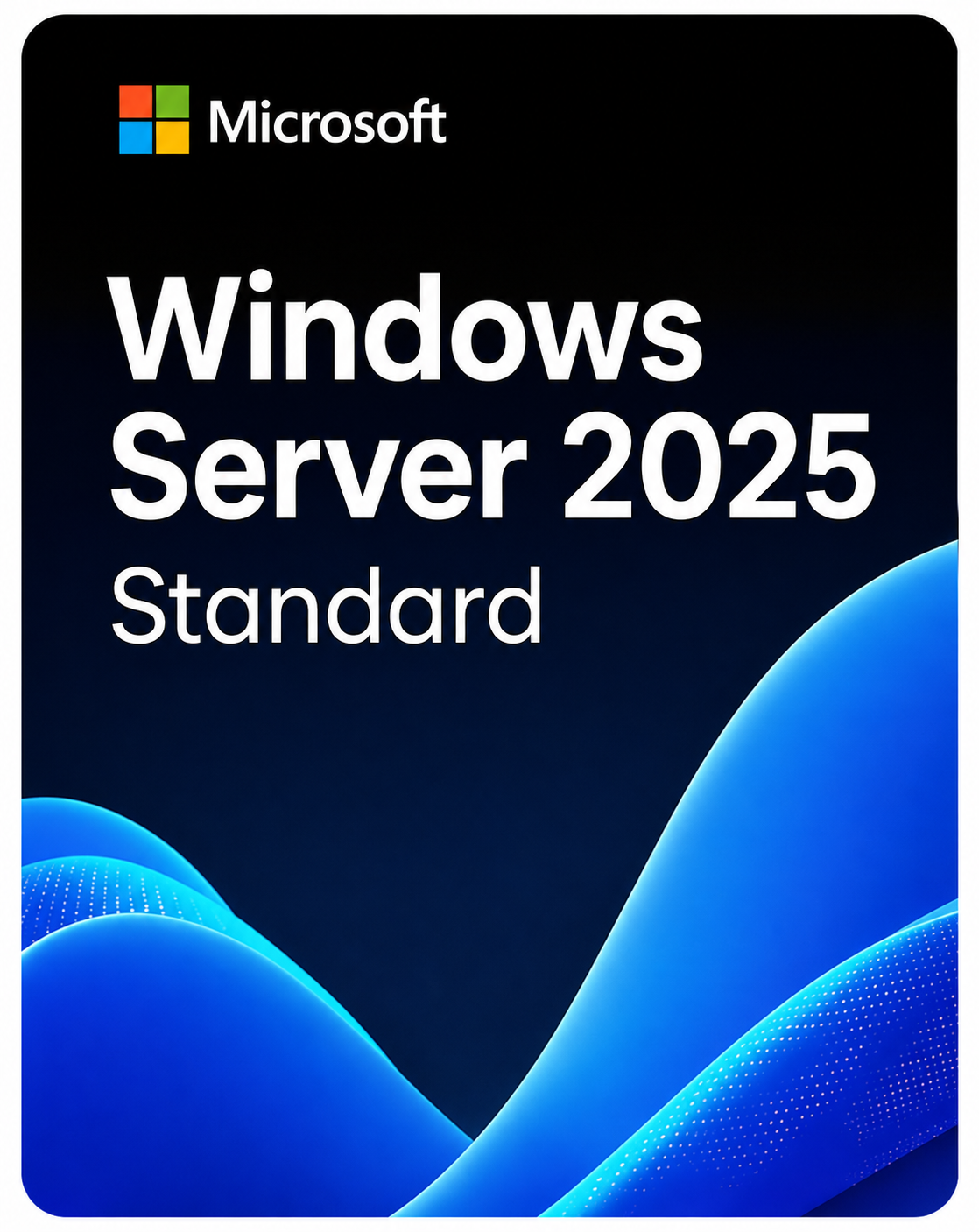 WINDOWS SERVER 2025 STANDARD