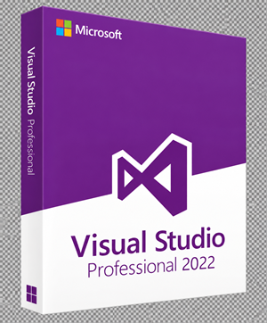 Microsoft Visual Studio Professional 2022